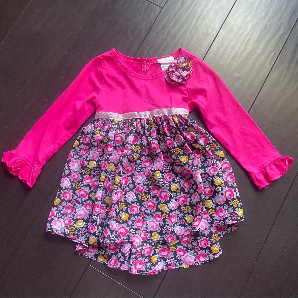 Youngland toddler girl fuchsia long sleeve cotton & chiffon rose print dress 2T